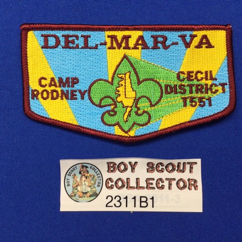 Patch boy scout camp - boy,