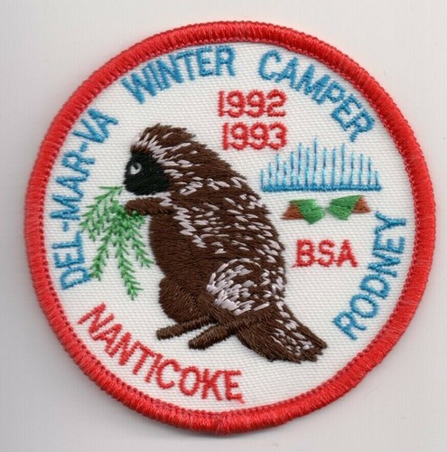 Bsa patch camp nanticoke - bsa,