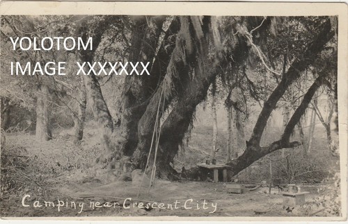 Rppc campeggio near crescent - rppc-campeggio,